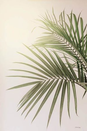 Sunkissed Palm by Jennifer Rigsby (FRAMED)