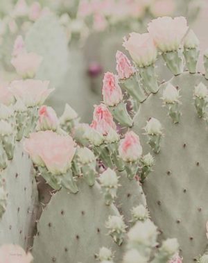 Blooms Abound I by Jennifer Rigsby (FRAMED)