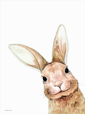 Fluffy Peekaboo Bunny by Rachel Nieman (FRAMED)
