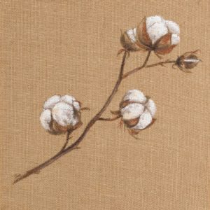 Cotton Branch I by Patricia Pinto (FRAMED)(SMALL)