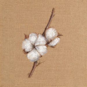 Cotton Branch II by Patricia Pinto (FRAMED)