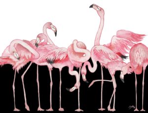 Black And White Meets Flamingos by Elizabeth Medley