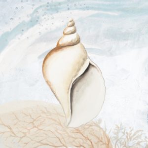 Ocean Oasis Tropical Seashell I by Patricia Pinto