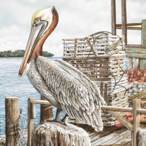 Majestic Pelican by James Harris (FRAMED)(SMALL)