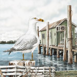 Majestic Seagull by James Harris (FRAMED)