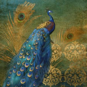 Peacock Bliss by Nan (FRAMED)(SMALL)