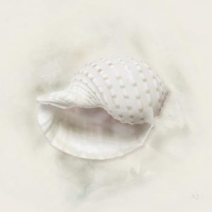 Soft Sand and Shell IV by Susan Jill (FRAMED)(SMALL)