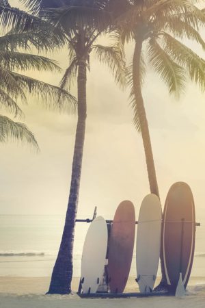 Surfing Summer by Mike Calascibetta (FRAMED)